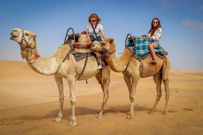 City & Horseback Tours