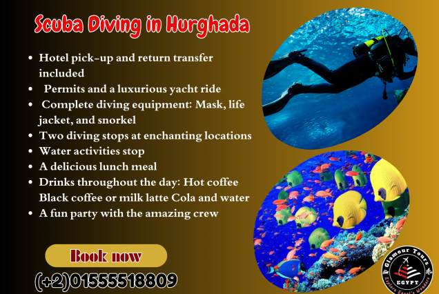  Full-Day Scuba Diving Adventure