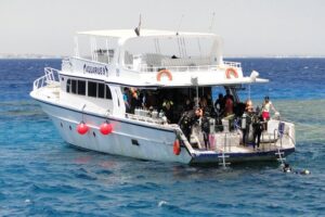Full-Day Scuba Diving – photo 11