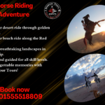 2-Hour Horse Riding Adventure in Hurghada