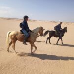 2-Hour Horse Riding Adventure in Hurghada
