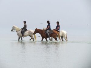 2-Hour Horse Riding – photo 7