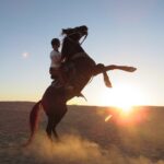 2-Hour Horse Riding Adventure in Hurghada