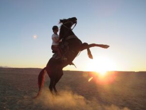 2-Hour Horse Riding – photo 6