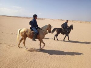 2-Hour Horse Riding – photo 3